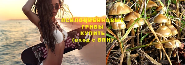 spice Армянск