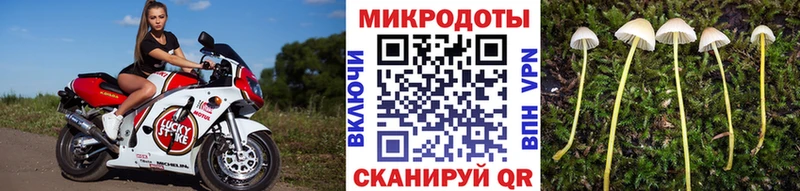 Псилоцибиновые грибы ЛСД  Томмот 